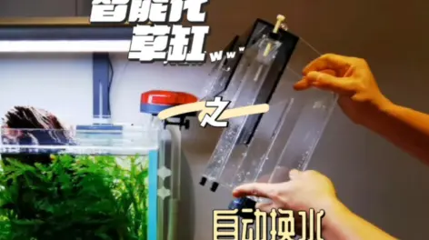 慢游加的动态-哔哩哔哩