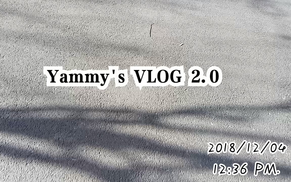 [图]Yammy's【Vlog 2.0】——一个忙碌的中午