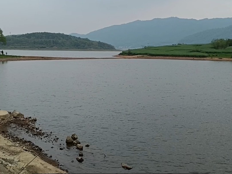 枞阳岱冲湖叶子岛(20240406)