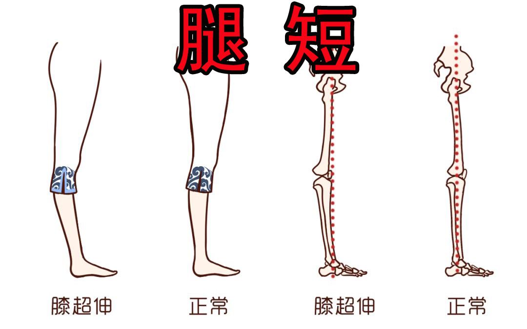 [图]再这样下去，腿可能会越来越短。。。