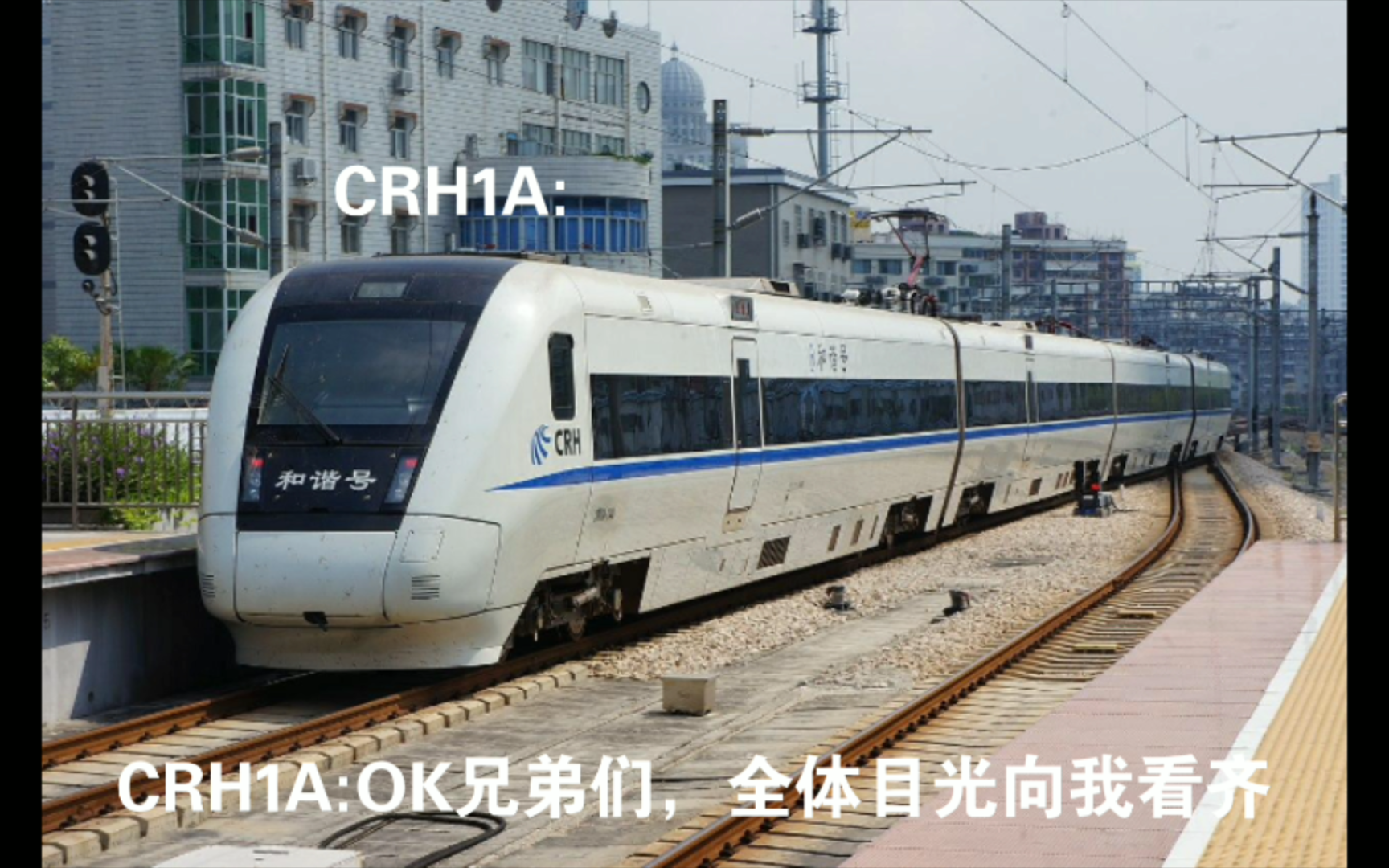 CRH1A-250图片