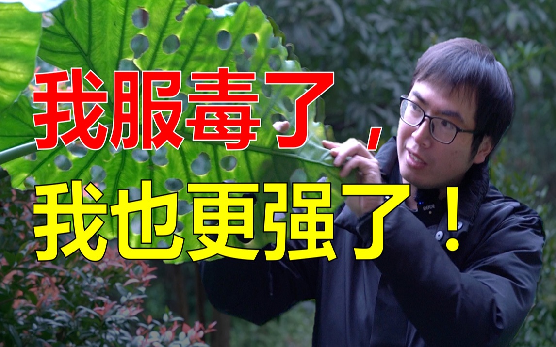 拿毒药当饭吃为了活下去这些物种有多逆天