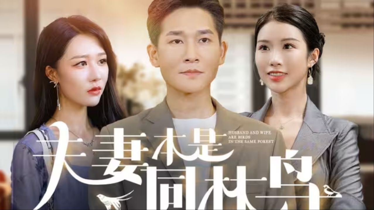 大难临头各自飞《夫妻本是同林鸟全集完整版大结局》