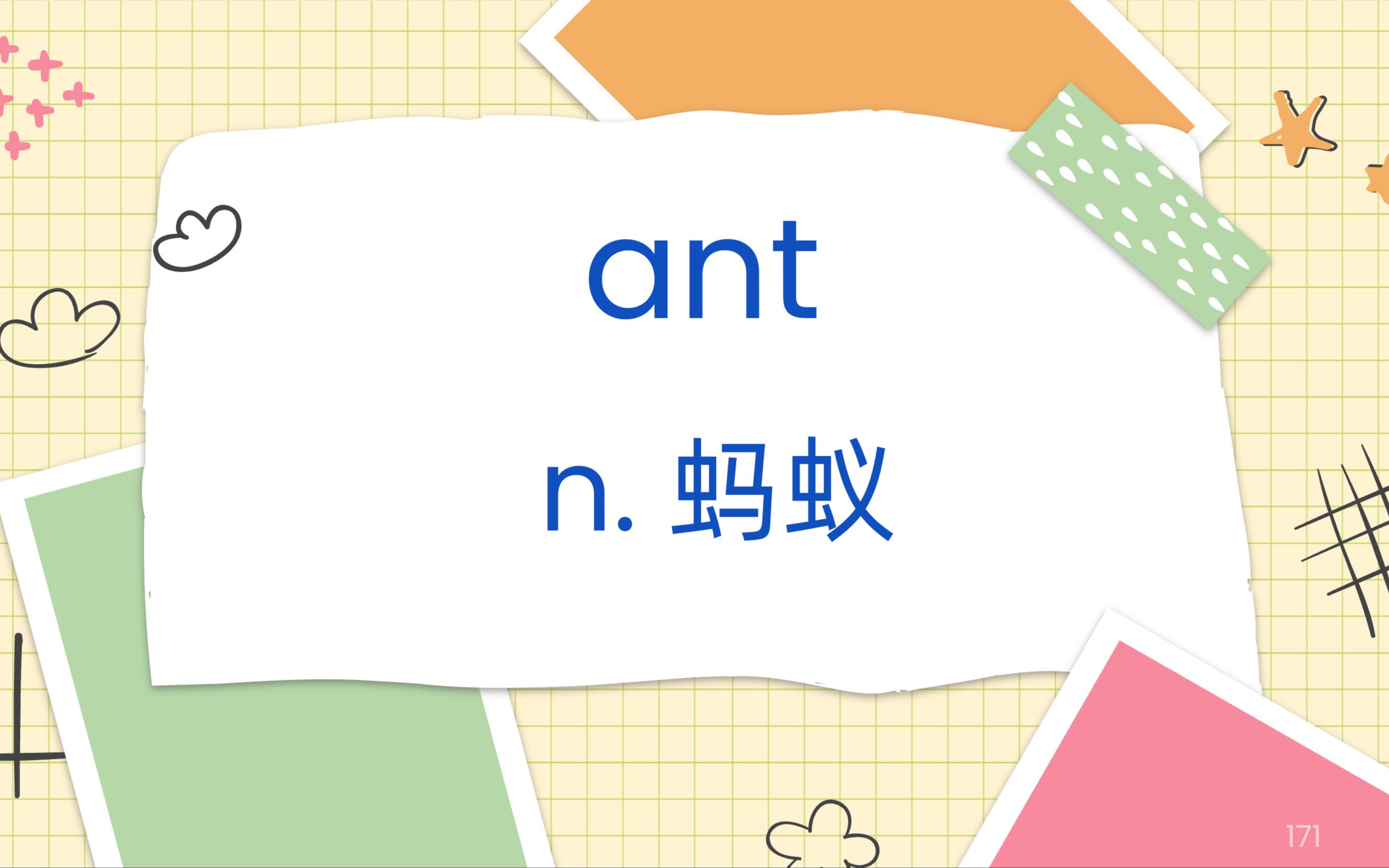 171.ant【高中英语单词3500】【初中英语单词1600】哔哩哔哩bilibili