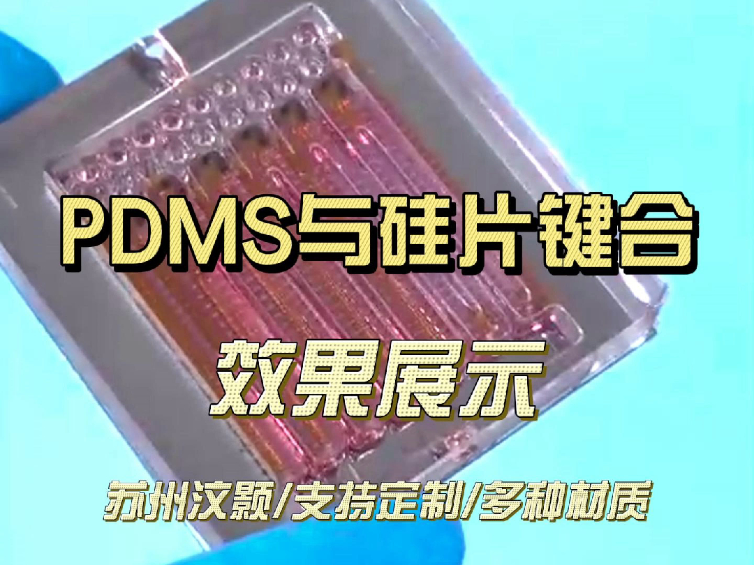汶颢微流控键合加工成品展示:pdms与硅片键合