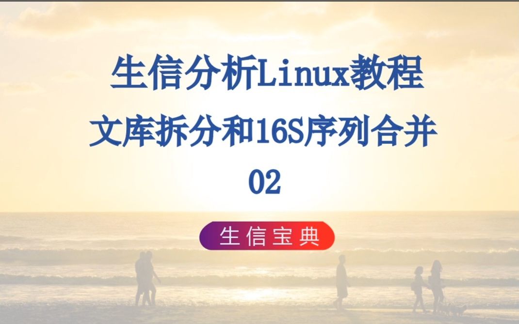 12 生信实战文库拆分和16S序列合并02哔哩哔哩bilibili