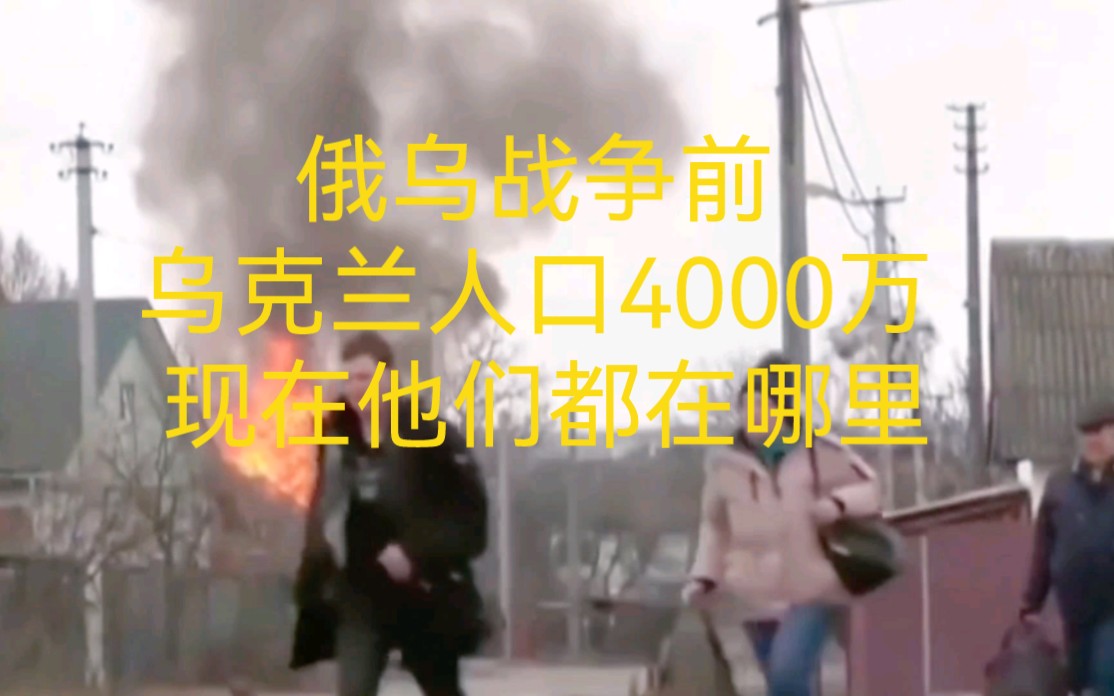 俄乌战争前,乌克兰人口4000万,现在他们都在哪里?哔哩哔哩bilibili