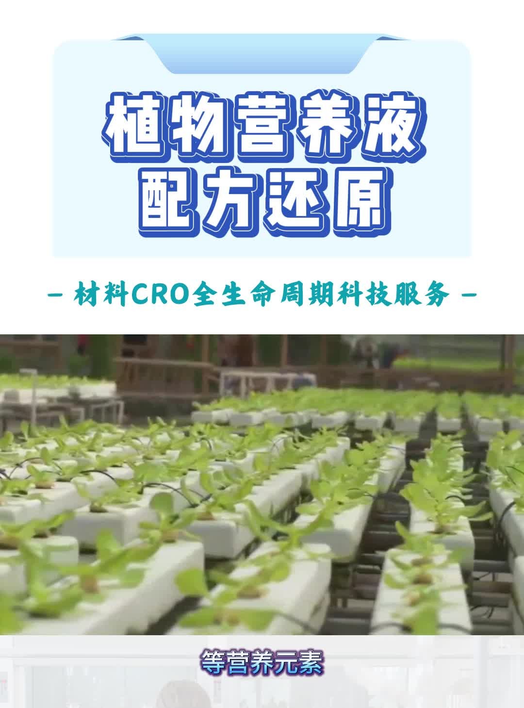 使植物加速生长的秘诀到底是什么?哔哩哔哩bilibili