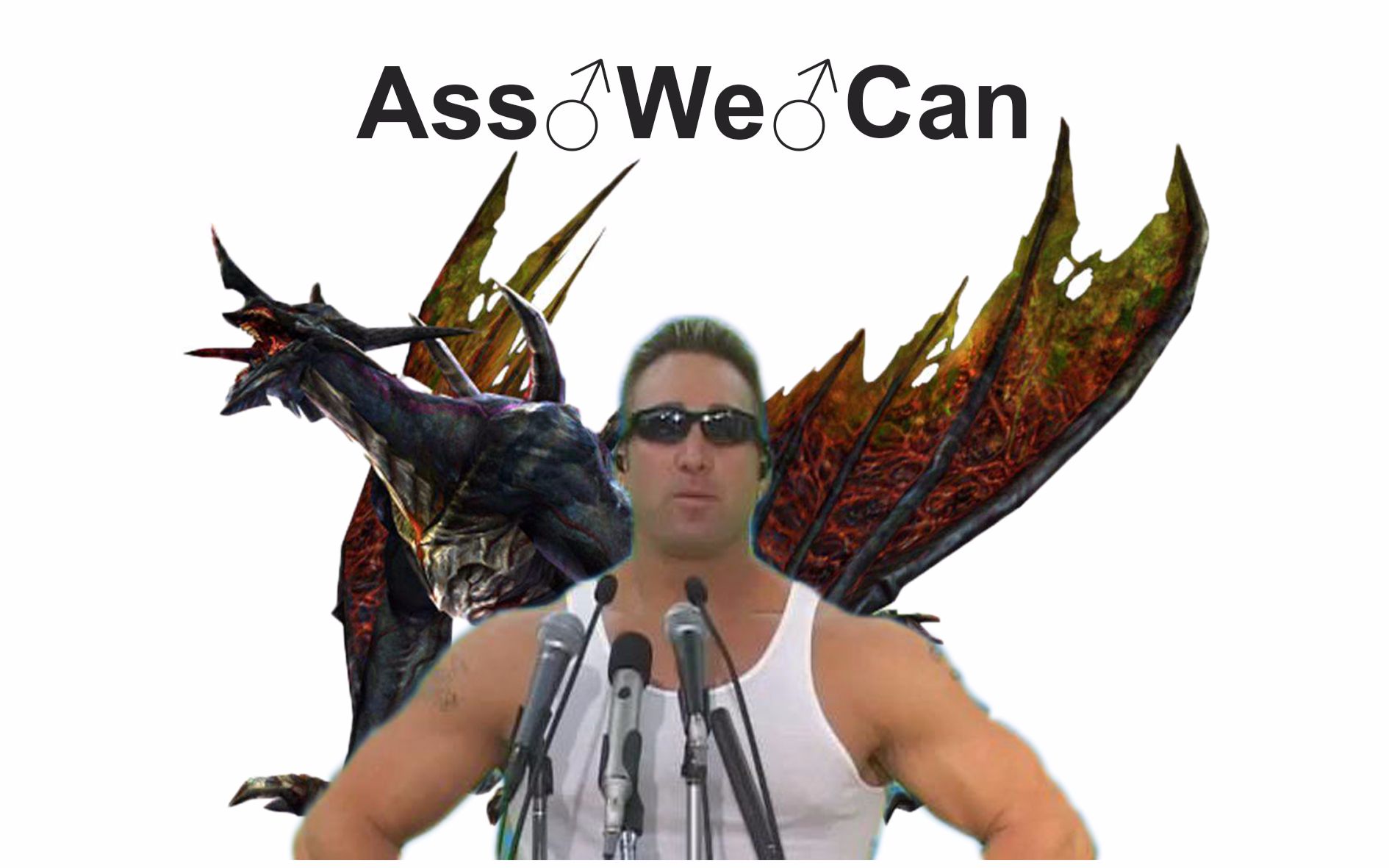 csol日服 跟着dalao混 吃鸡翅膀