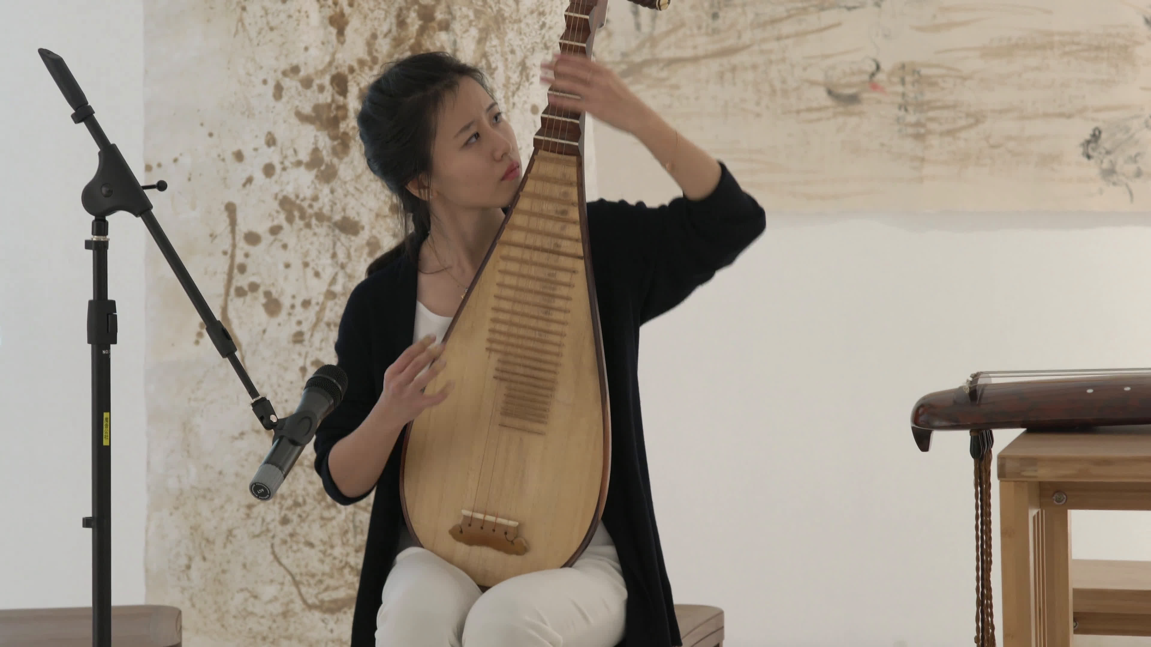 [琵琶]春蚕[2017民乐演奏]