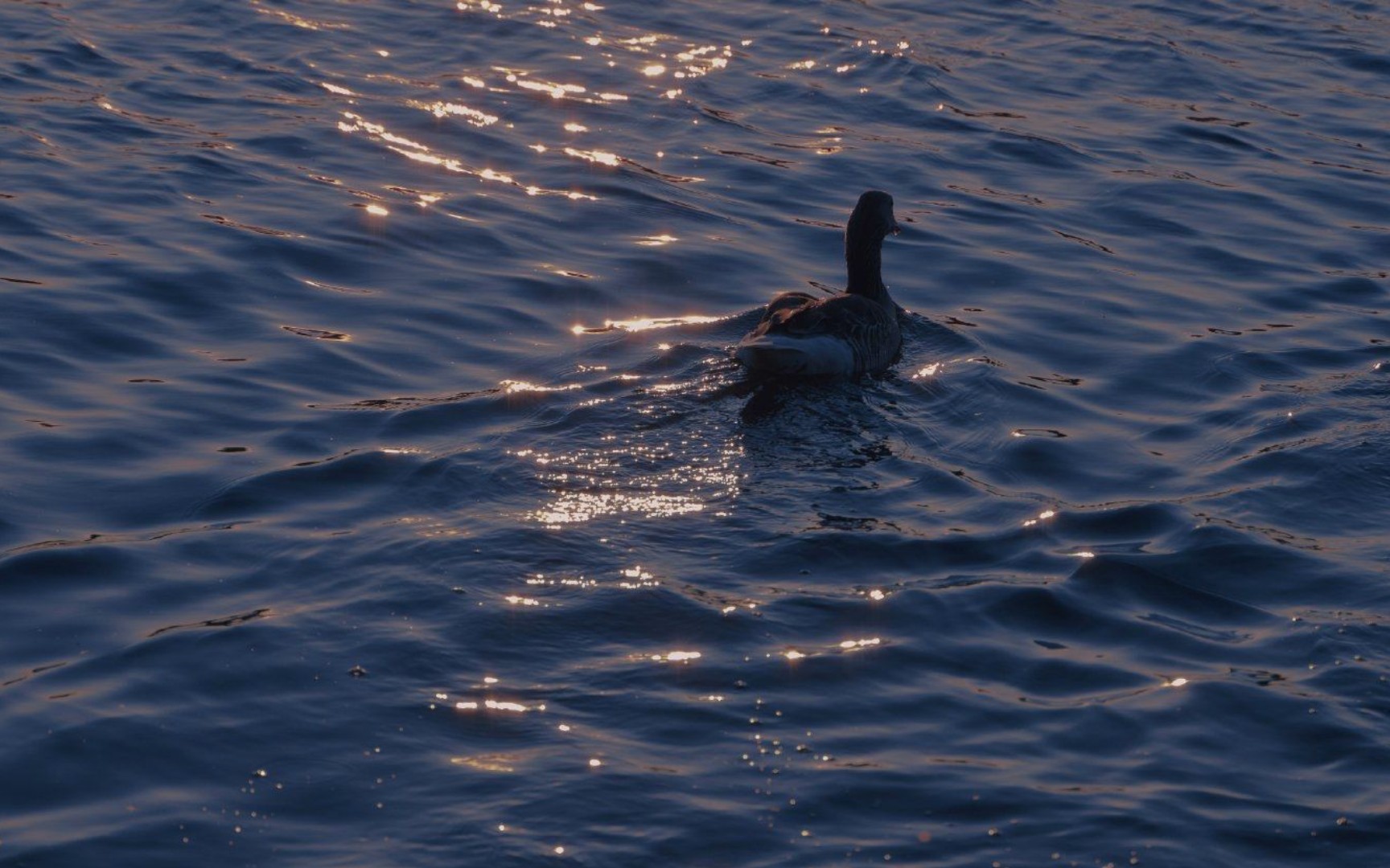 清凉深邃,晶莹澄澈