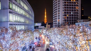 东京六本木2亿2500万日元的高级公寓只有90平米 哔哩哔哩 つロ干杯 Bilibili