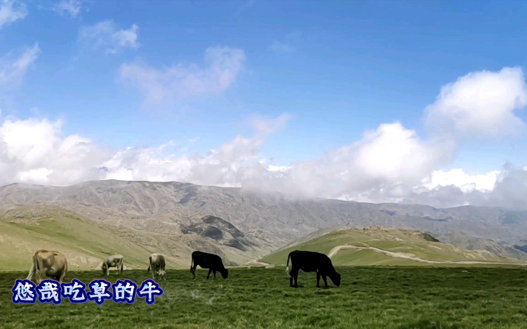 [图]登上山顶，远眺雪山，云海翻腾，心潮澎湃