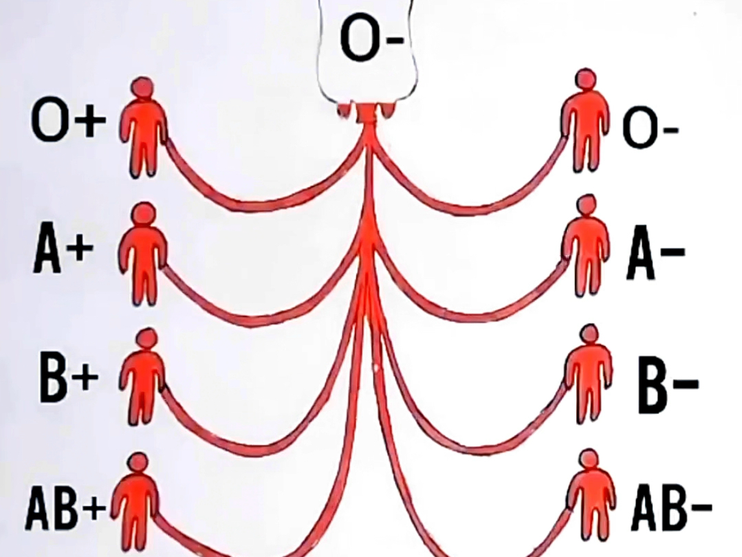 终于知道为什么O型血被称为万能血了哔哩哔哩bilibili