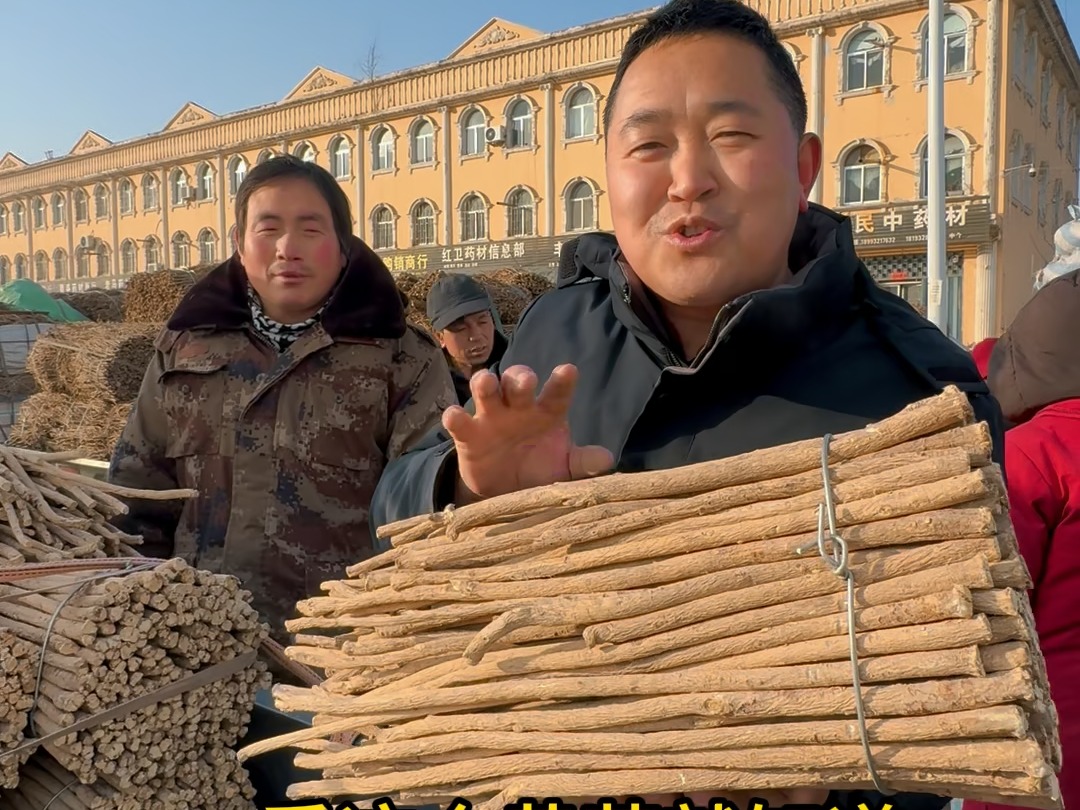 种植自己放心的黄芪,加工农民满意的黄芪哔哩哔哩bilibili