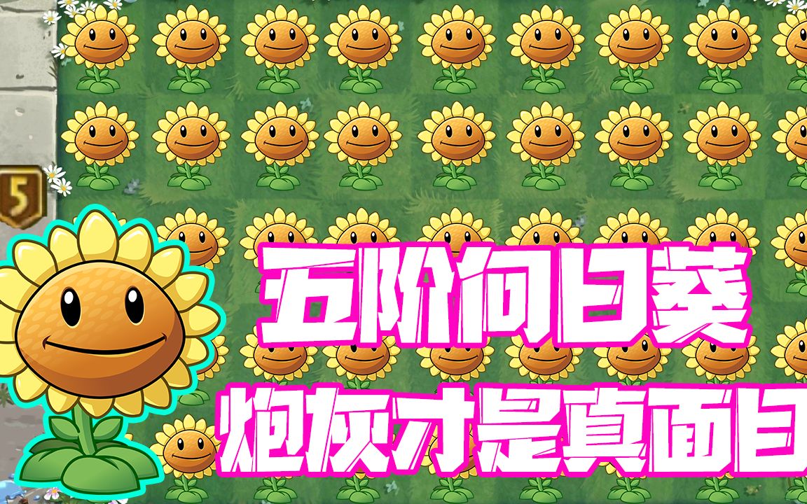 植物大战僵尸:五阶向日葵!无尽神器!炮灰也有春天!PVZ