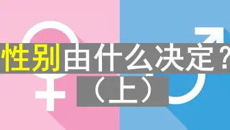 性别决定（上）性染色体能够决定一切吗？