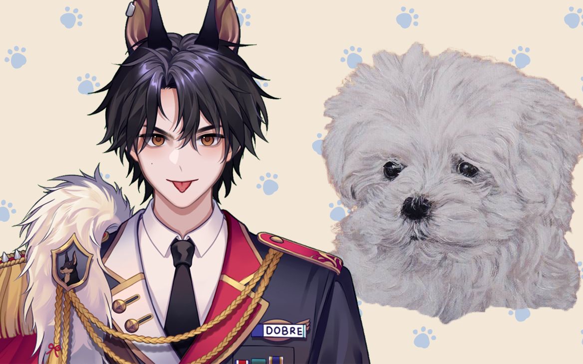 【Dobre的狗狗百科】第10期【马尔济斯犬 (Maltese)】哔哩哔哩bilibili