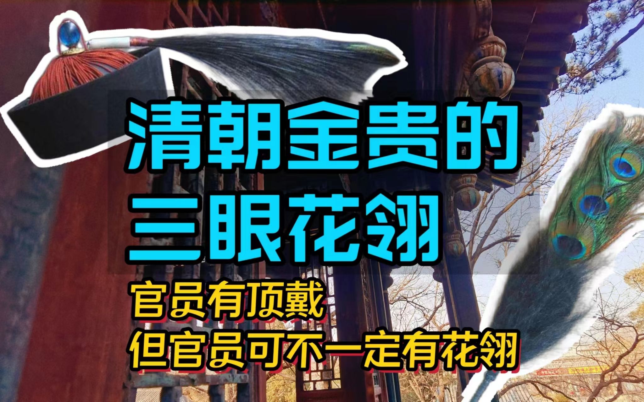 清朝官员帽子上的羽毛,竟比宝石的顶戴还金贵,三眼花翎有多厉害哔哩哔哩bilibili