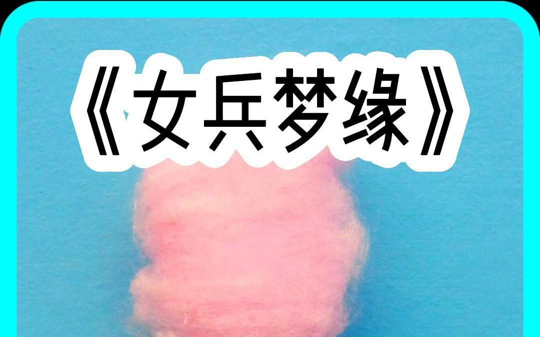 纸糊推文《女兵梦缘》哔哩哔哩bilibili