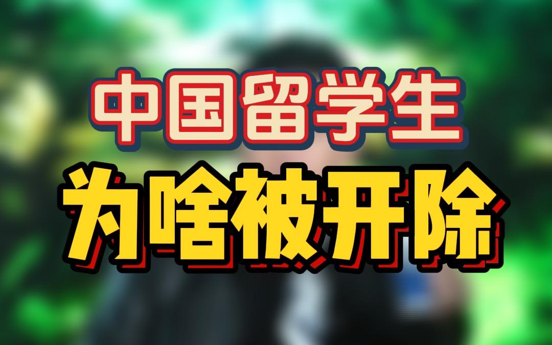 为什么每年有将近一万中国留学生被各地留学院校开除?哔哩哔哩bilibili