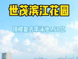 Video herunterladen: 浦东陆家嘴空中复式带花园带露台带泳池1.58亿