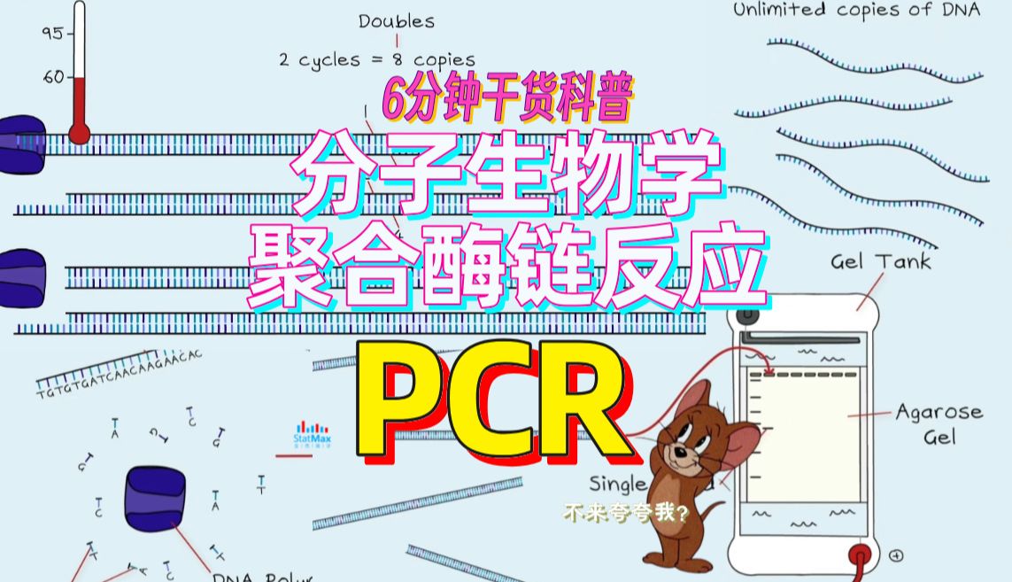 干货!6分钟看懂分子生物学聚合酶链反应PCR哔哩哔哩bilibili