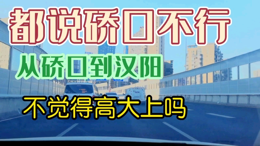 都说武汉硚口区不行,从硚口到月湖桥的这一段,难道不高大上吗哔哩哔哩bilibili