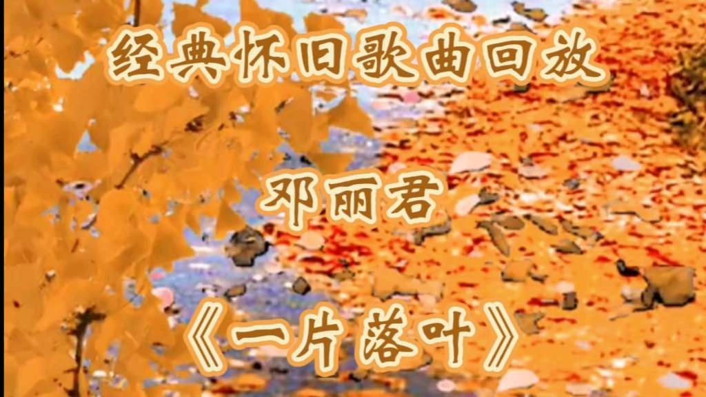 经典怀旧歌曲回放邓丽君《一片落叶》