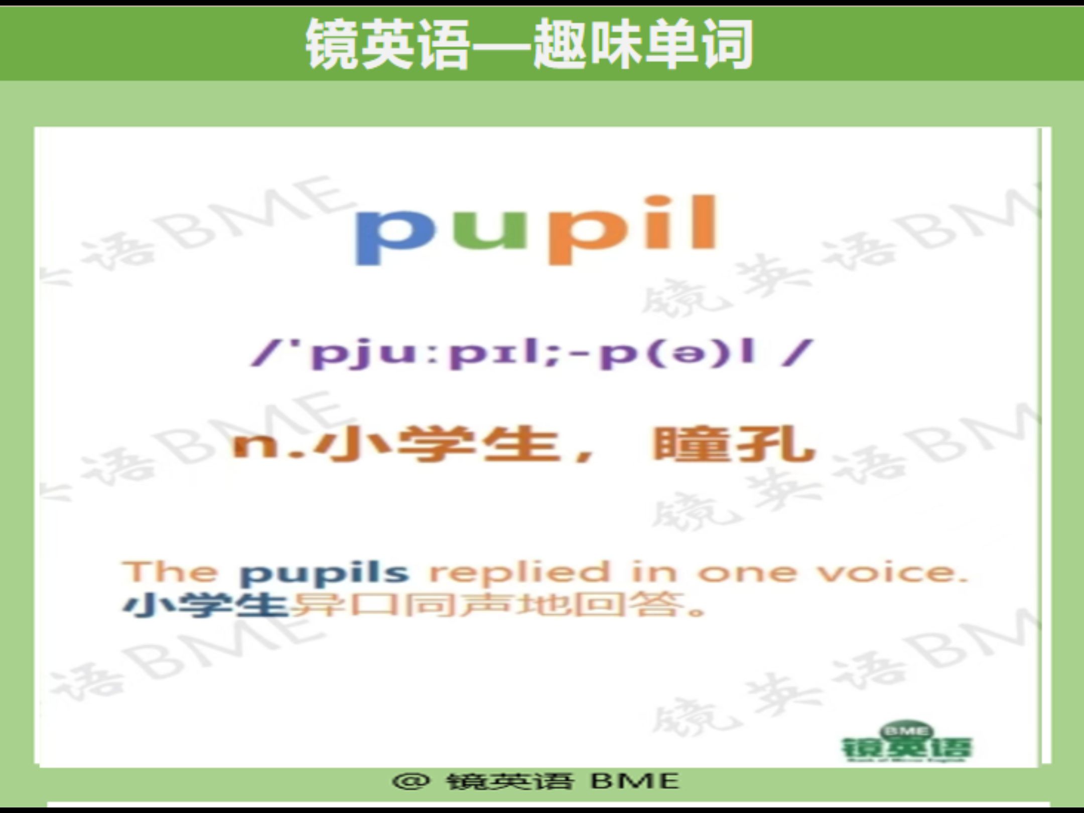 pupil英语怎么读 B站