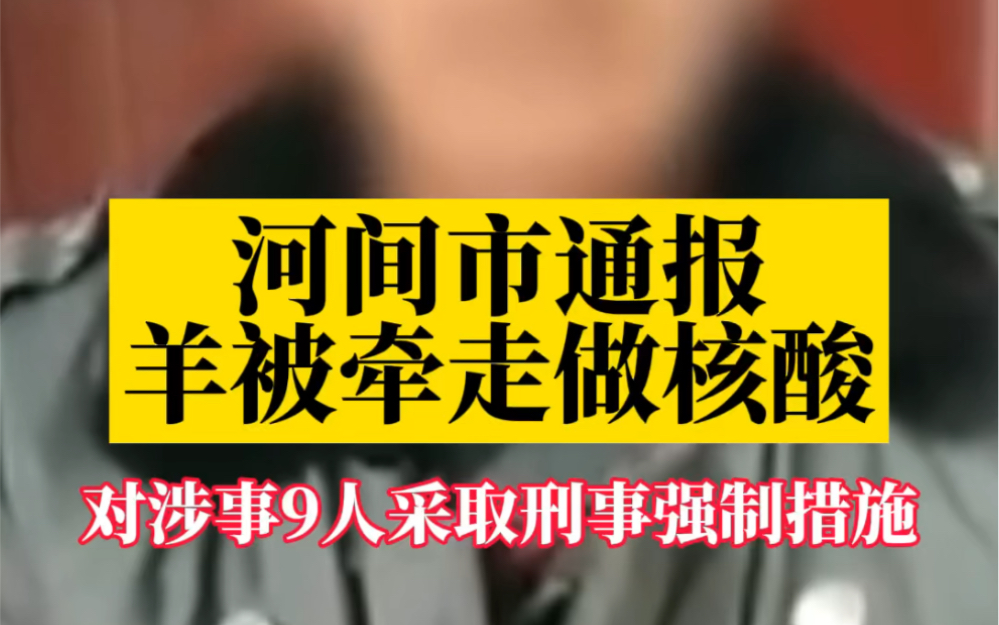 河间市通报羊被牵走做核酸:对涉事9人采取刑事强制措施哔哩哔哩bilibili