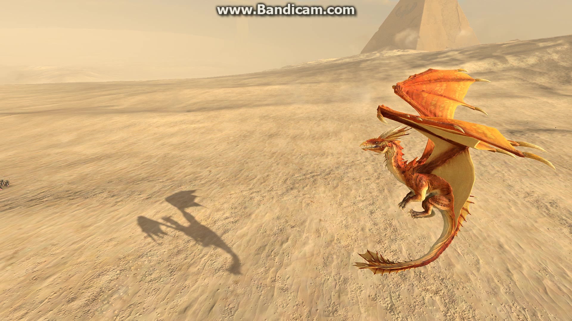 高等精灵-烈阳龙