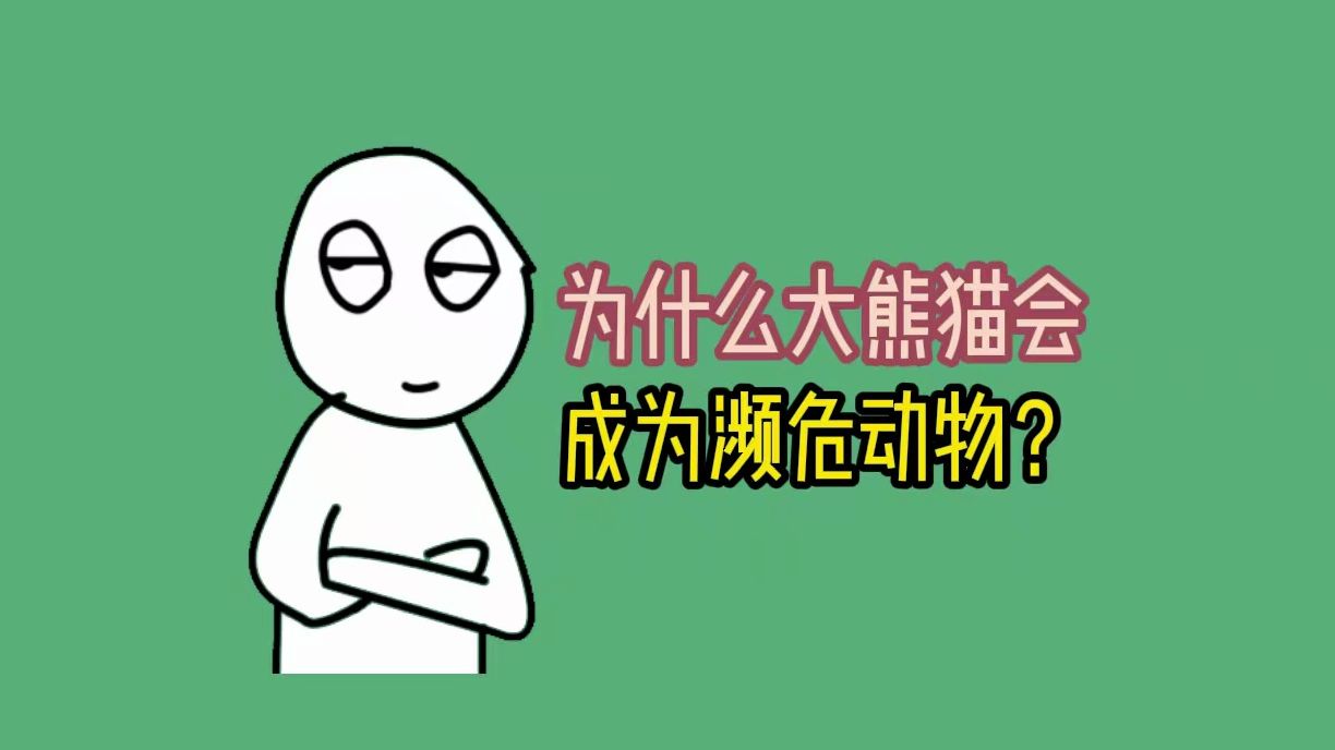 为什么大熊猫会成为濒危动物?哔哩哔哩bilibili