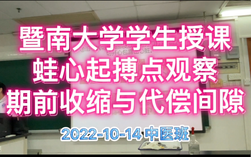 暨南大学学生授课蛙心起搏点观察期前收缩与代偿间隙哔哩哔哩bilibili