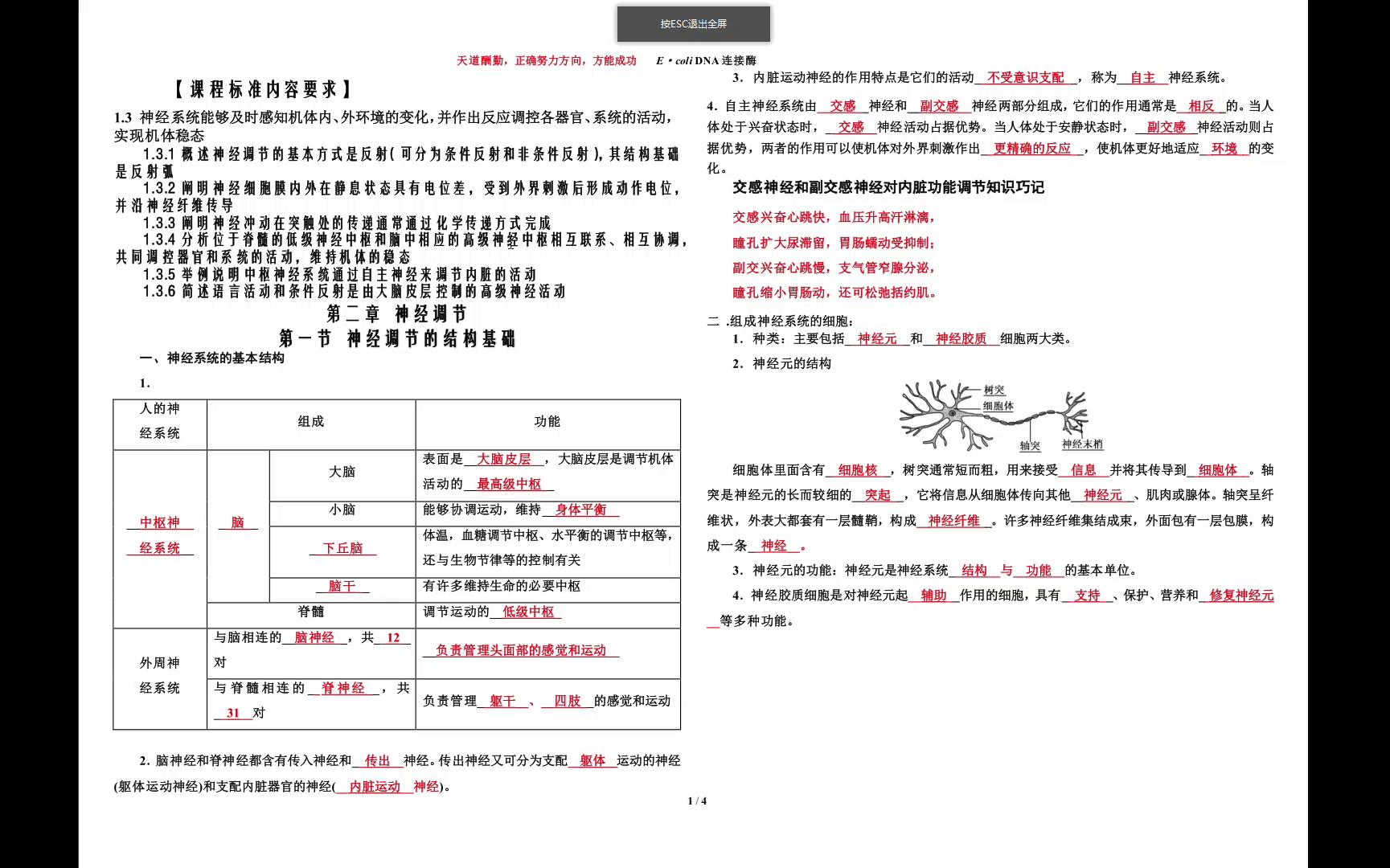 [图]高中生物选择性必修一神经调节精细知识点总结