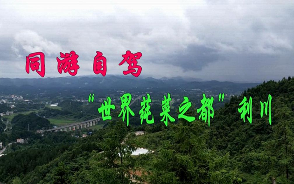 同游自驾旅行——“世界莼菜之都”利川哔哩哔哩bilibili