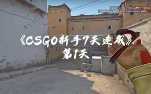 《CSGO新手7天速成第1天》《游戏基础的功能性》设置的重要性以及引导方式