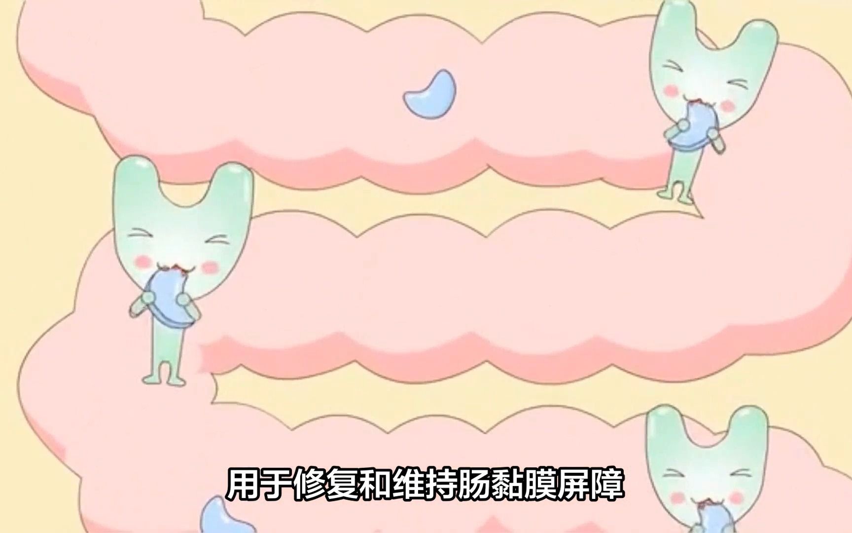 神奇的——丁酸梭菌小百科哔哩哔哩bilibili