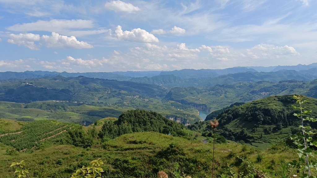 高瞻遠矚