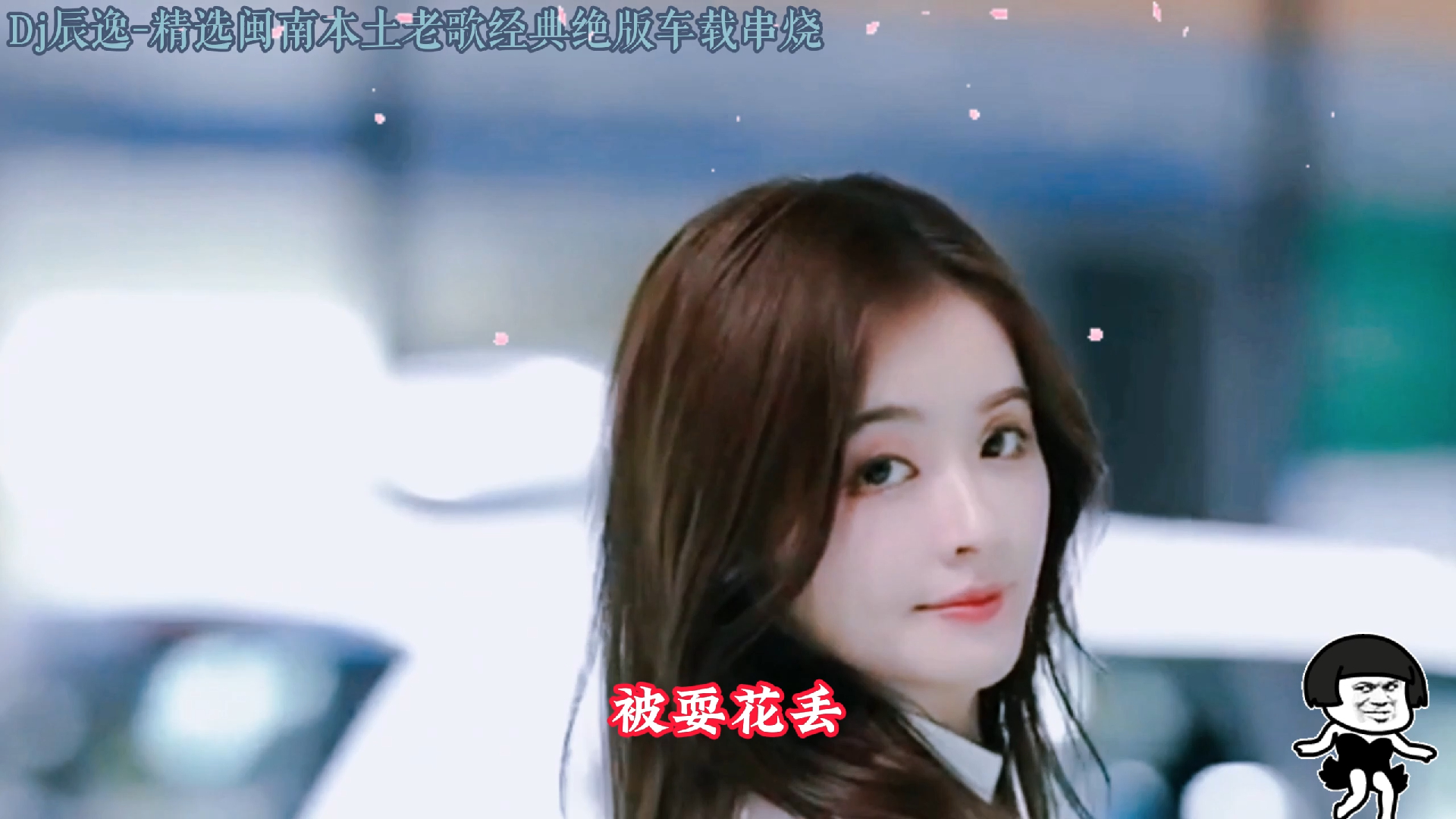 【dj舞曲】【无损超品质】dj辰逸-精选闽南本土老歌经典绝版车载串烧