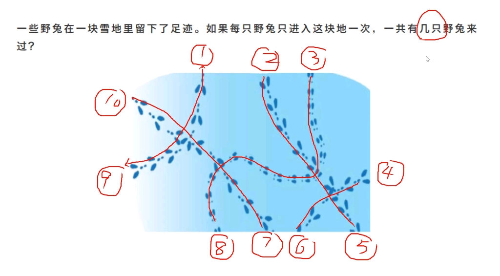 数小兔子的脚印哔哩哔哩bilibili