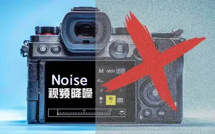 下载视频: 松下（Lumix S5 和 Lumix S5II）视频降噪对比 [中文CC字幕]