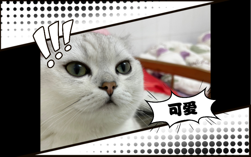 喵喵酱日常美照
