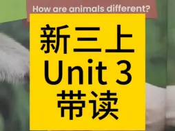 2024人教版小学新三年级英语上册第三单元课文跟读