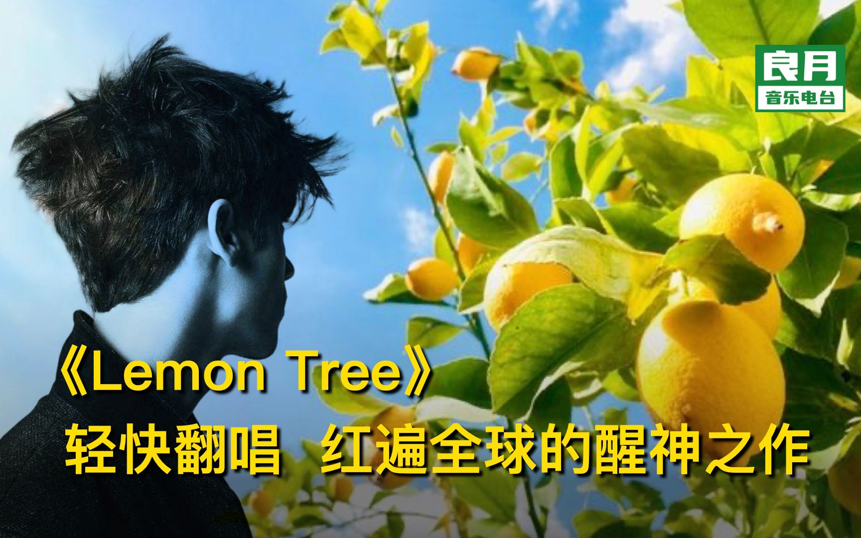 [图]《Lemon Tree》轻快翻唱|红遍全球的醒神之作，来一起唱吧