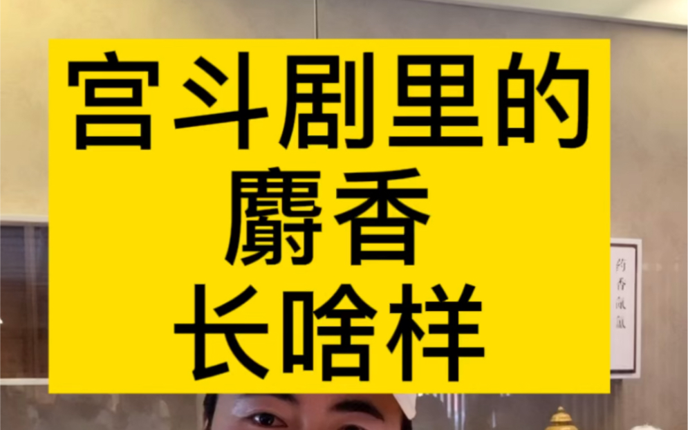 宫斗剧里的麝香长啥样,真的可以造成不孕流产吗?麝香真的很贵,四大名香之首,故宫永和宫御医药展哔哩哔哩bilibili