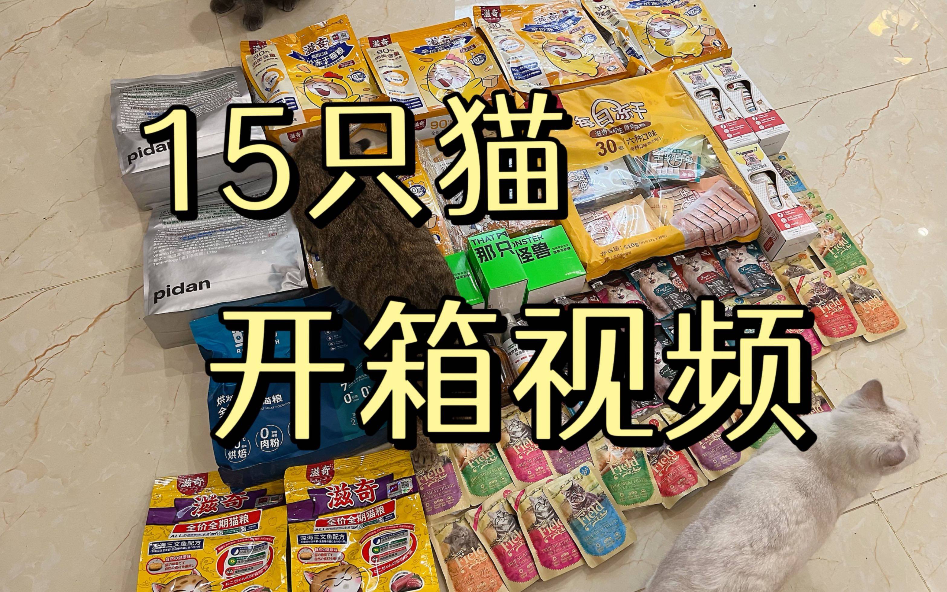 15只猫的开箱视频
