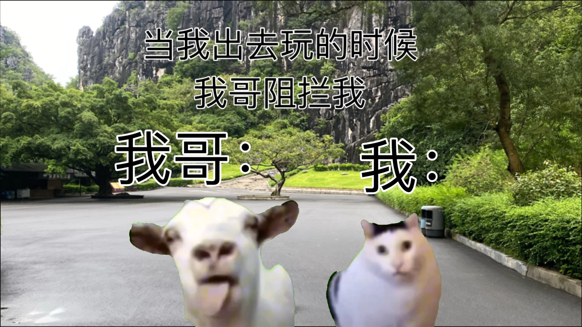 干笑视频素材网站_笑视频大全超搞笑