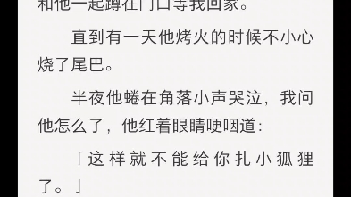 [图]我亲手养大一只狐狸精。他冬天的时候抱着尾巴坐在窗台梳毛，一梳就是一天。尾巴已经很柔顺了还是要梳，只是为了收集掉下来的毛，扎成狐毛小狐狸。扎的小狐狸被他摆成一排