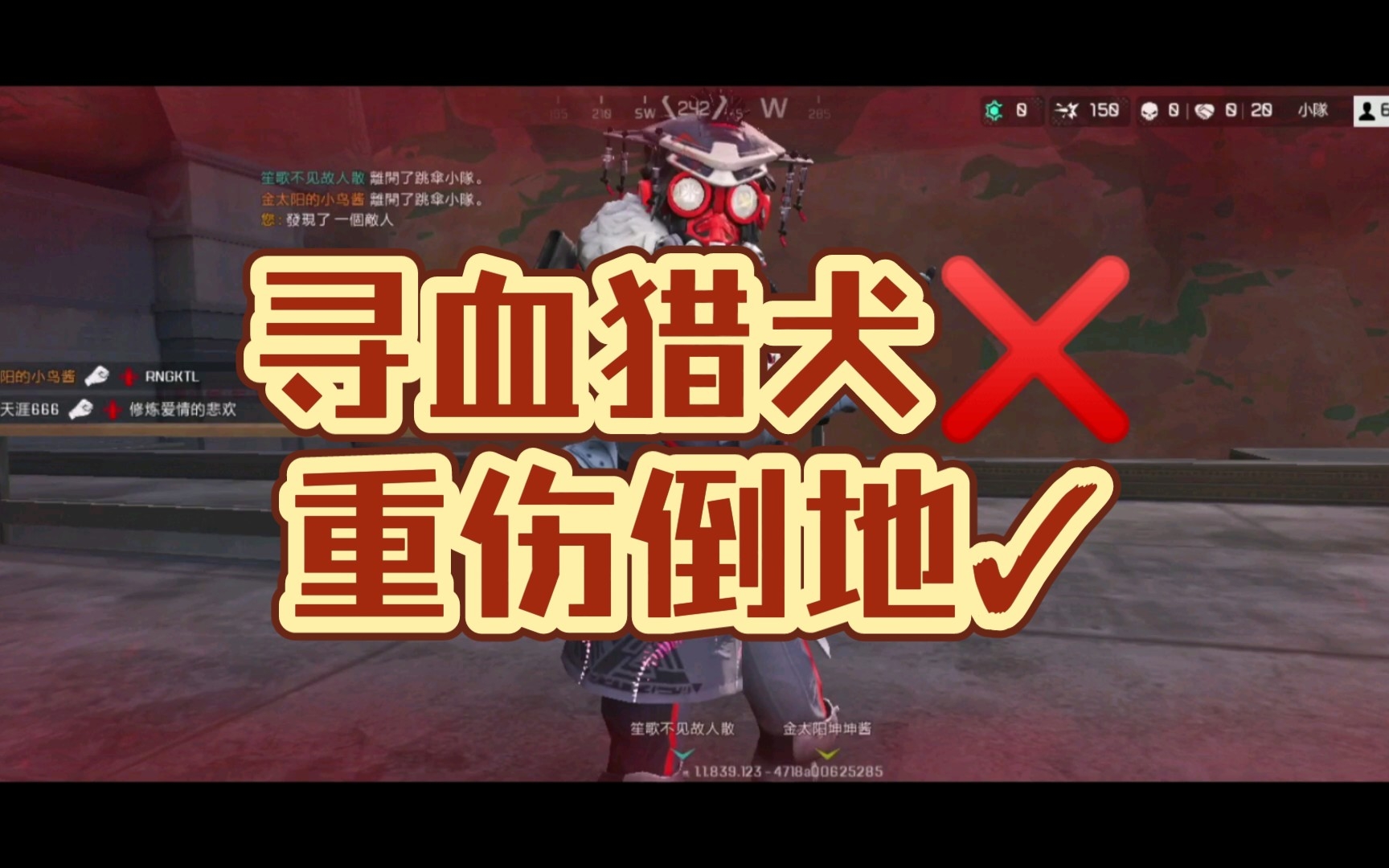 寻血猎犬74重伤倒地77